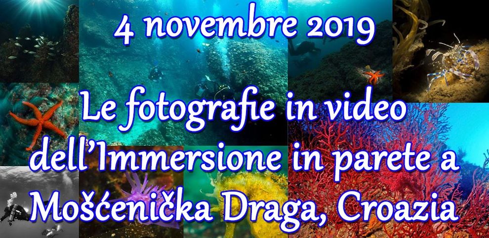 04/11/2019 Le foto in video dell’immersione in parete Mošćenička Draga – Croazia