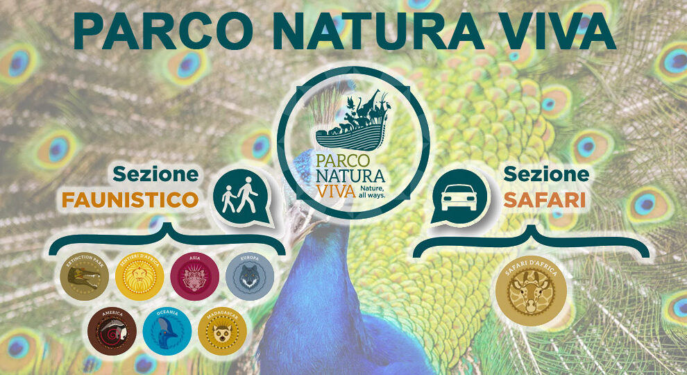 Parco Natura Viva – Prevendita biglietti scontati